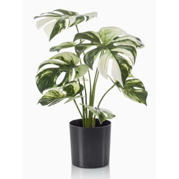 Konstgjord Philodendron Monstera Deliciosa Variegata ZAINE, grön-vit, 40cm