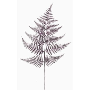 Konstgjort blad, svärdfarn WYATT, metallic-violett, 80cm Konstgjort blad, svärdfarn WYATT, metallic-violett, 80cm