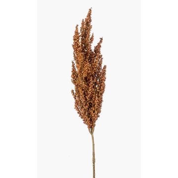 Konstgjord gren av sorghum VANCE med ax, ljusbrun, 80cm