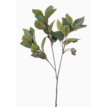 Konstgjord eukalyptusgren VIZIMIR med frukter, grön, 80cm