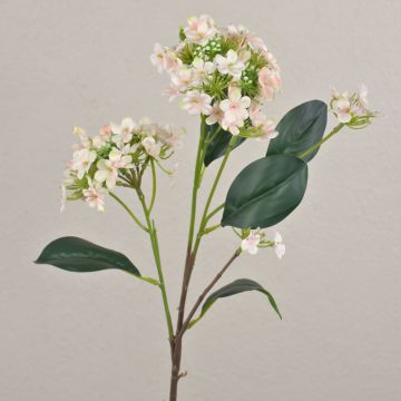 Konstgjord snöbollsgren LINDIWE, rosa-krämfärgad, 70cm, Ø5-10cm Konstgjord snöbollsgren LINDIWE, rosa-krämfärgad, 70cm, Ø5-10cm