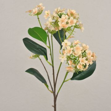Konstgjord snöbollsgren LINDIWE, aprikos-kräm, 70cm, Ø5-10cm Konstgjord snöbollsgren LINDIWE, aprikos-kräm, 70cm, Ø5-10cm