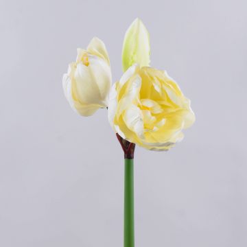 Konstgjord amaryllis GRELTA, krämgul, 80cm Konstgjord amaryllis GRELTA, krämgul, 80cm