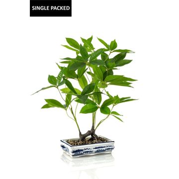 Konstgjord bonsai-lyckokastanj IVANO i mönstrad keramikskål, grön, 60cm