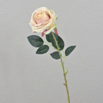 Konstgjord ros ELEAZAR, krämrosa, 65cm, Ø9cm