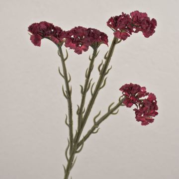 Konstblomma strandflieder AYISHA, torkad look, mörkröd, 65cm, 3,5x6cm Konstblomma strandflieder AYISHA, torkad look, mörkröd, 65cm, 3,5x6cm