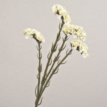 Konstblomma strandflieder AYISHA, torkad look, vit, 65cm, 3,5x6cm Konstblomma strandflieder AYISHA, torkad look, vit, 65cm, 3,5x6cm