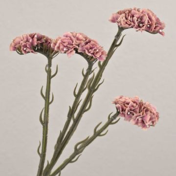 Konstblomma strandflieder AYISHA, torkad look, gammaldagsrosa, antikrosa, 65cm, 3,5x6cm Konstblomma strandflieder AYISHA, torkad look, gammaldagsrosa, antikrosa, 65cm, 3,5x6cm
