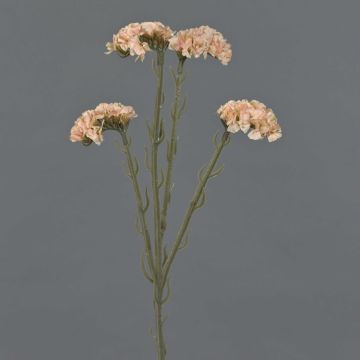 Konstgjord blomma strandflieder AYISHA, torkad look, krämrosa, 65cm, 3,5x6cm Konstgjord blomma strandflieder AYISHA, torkad look, krämrosa, 65cm, 3,5x6cm