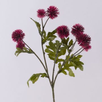 Konstgjord färgkardblomma, blomgren TRUDBERTA, torkad look, vinröd, 55cm, Ø3-4cm Konstgjord färgkardblomma, blomgren TRUDBERTA, torkad look, vinröd, 55cm, Ø3-4cm