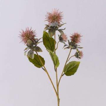 Konstgjord färgkardisblomstergren VALDISOLI, torkad look, gammaldagsrosa, antikrosa, 55cm Konstgjord färgkardisblomstergren VALDISOLI, torkad look, gammaldagsrosa, antikrosa, 55cm