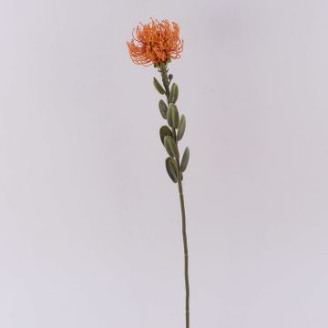 Konstblomma nålkudde Protea URMINE, torkad look, orange, 60cm, Ø9cm Konstblomma nålkudde Protea URMINE, torkad look, orange, 60cm, Ø9cm