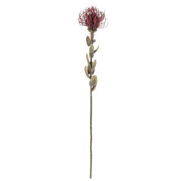 Konstblomma nålkudde Protea URMINE, torkad look, vinröd, 60cm, Ø9cm Konstblomma nålkudde Protea URMINE, torkad look, vinröd, 60cm, Ø9cm