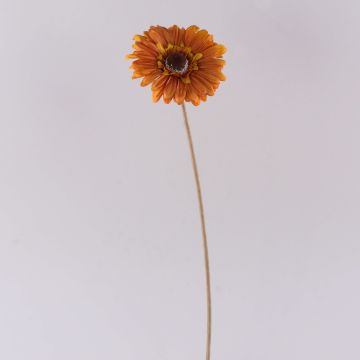 Konstgjord gerbera TUNGUSKA, torkad look, orange, 55cm, Ø11cm