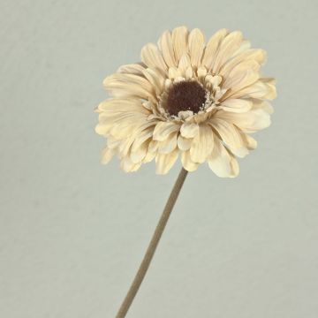 Konstgjord gerbera TUNGUSKA, torkad look, krämbeige, 55cm, Ø11cm Konstgjord gerbera TUNGUSKA, torkad look, krämbeige, 55cm, Ø11cm