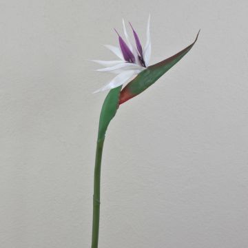 Konstgjord paradisfågelblomma CHAYA, vit-violett, 80cm, 13x21cm Konstgjord paradisfågelblomma CHAYA, vit-violett, 80cm, 13x21cm