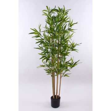 Konstgjord bambu SEUMAS, äkta bambustjälkar, 150cm