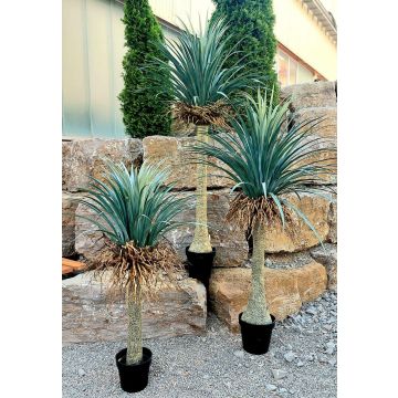 Konstgjord Yucca rostrata HARDIN, dekorativ kruka, 120cm