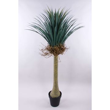Konstgjord Yucca rostrata HARDIN, dekorativ kruka, 160cm