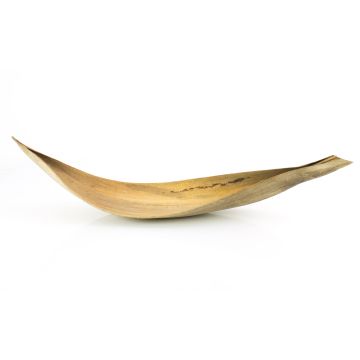 Stort torkat kokosblad CHIPUNA, beige-brunt, 60-80cm Stort torkat kokosblad CHIPUNA, beige-brunt, 60-80cm