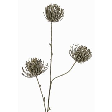 Konstgjord kvist nålkudde Protea KAPO med glitter, olivgrön, 85cm, Ø8cm Konstgjord kvist nålkudde Protea KAPO med glitter, olivgrön, 85cm, Ø8cm