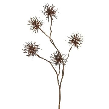 Konstgjord trollhassel-gren NUMBAT med blommor, brun, 70cm, Ø6cm