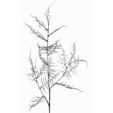 Konstgjord Asparagus acutifolius-gren NYALA, mörkgrön, 85cm