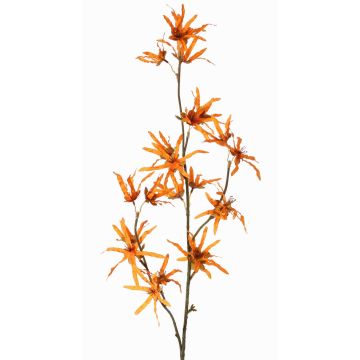 Konstgjord trollhasselgren ORAFA med blommor, orange, 80cm, Ø4-8cm Konstgjord trollhasselgren ORAFA med blommor, orange, 80cm, Ø4-8cm