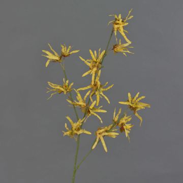 Konstgjord trollhasselgren ORAFA med blommor, ockragul, 80cm, Ø4-8cm