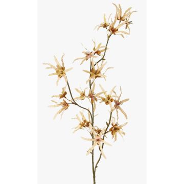 Konstgjord trollhasselgren ORAFA med blommor, beige, 80cm, Ø4-8cm Konstgjord trollhasselgren ORAFA med blommor, beige, 80cm, Ø4-8cm