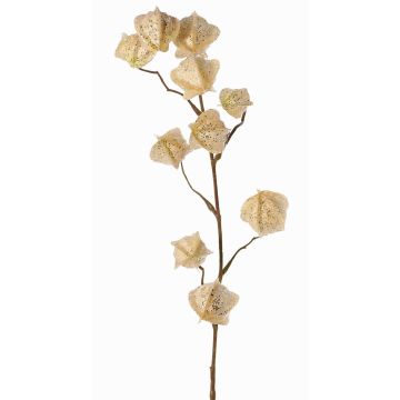 Konstgjord Physalis-gren AINOS, frukter, glitter, krämfärgad, 80cm
