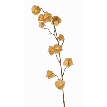 Konstgjord physalis-gren AINOS, frukter, glitter, beige, 80cm
