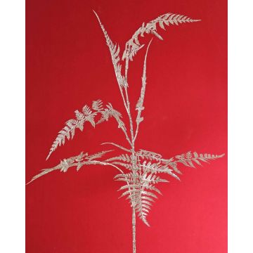Dekorativ Asparagus plumosus-gren GIONA, silver, 85cm