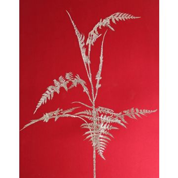 Dekorativ Asparagus plumosus-gren GIONA, silver, 85cm Dekorativ Asparagus plumosus-gren GIONA, silver, 85cm