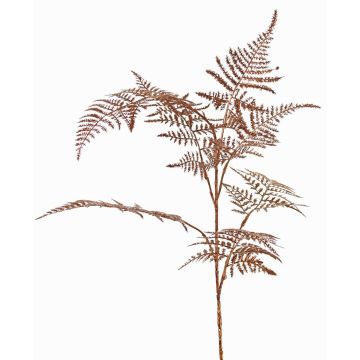 Dekorativ Asparagus plumosus-gren GIONA, koppar, 85cm