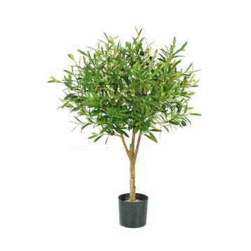 Konstgjord olivträd ZISGÖ, frukter, äkta stam, 85cm Konstgjord olivträd ZISGÖ, frukter, äkta stam, 85cm