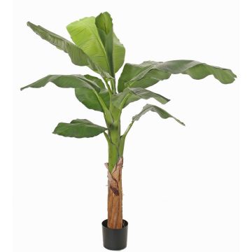 Konstgjord bananträd SCHWANA, 150cm Konstgjord bananträd SCHWANA, 150cm