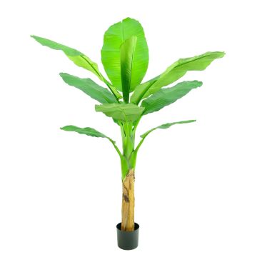 Konstgjord bananträd SCHWANA, 150cm Konstgjord bananträd SCHWANA, 150cm