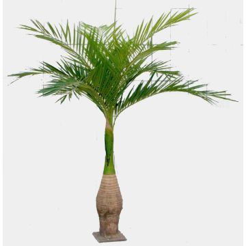 Ravenea-palm i plast KOKIN, 265cm