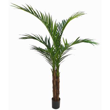 Konstgjord Ravenea-palm NISANA, 160cm