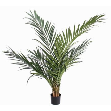 Konstgjord Ravenea-palm SANDRIN, crossdoor, 145cm