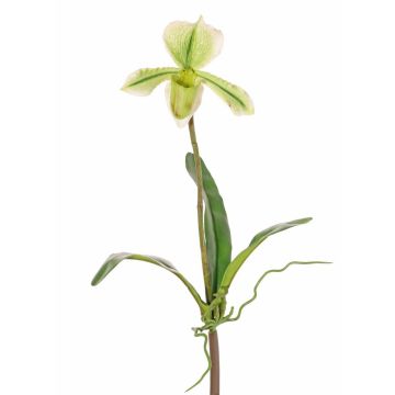 Konstgjord Paphiopedilum-orkidé VELANA, på pinne, grön-vit, 40cm Konstgjord Paphiopedilum-orkidé VELANA, på pinne, grön-vit, 40cm