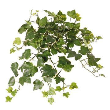 Konstgjord murgröna, hängande, ARJANA, stickpinne, crossdoor, grön-vit, 50cm