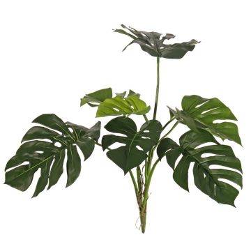 Dekorativ Philodendron Monstera Deliciosa CHANIA, crossdoor, på stativ, 75cm Dekorativ Philodendron Monstera Deliciosa CHANIA, crossdoor, på stativ, 75cm