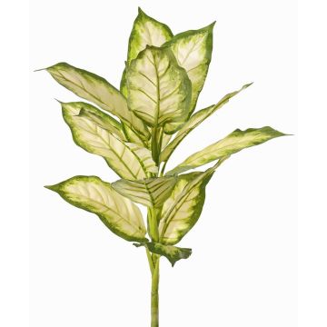 Konstgjord Dieffenbachia VISP, svårantändlig, med stödpinne, grön-krämfärgad, 40cm Konstgjord Dieffenbachia VISP, svårantändlig, med stödpinne, grön-krämfärgad, 40cm
