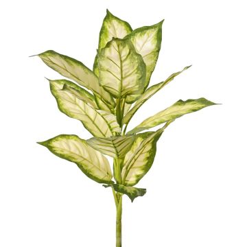 Konstgjord Dieffenbachia VISP, svårantändlig, med stödpinne, grön-krämfärgad, 40cm