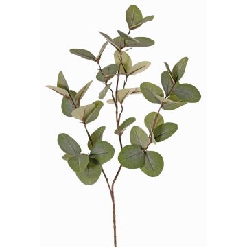 Konstgjord eukalyptusgren EMMENDA, grön, 80cm
