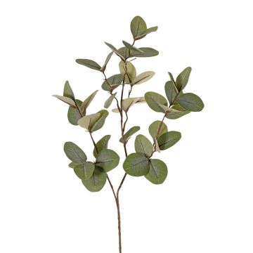 Konstgjord eukalyptusgren EMMENDA, grön, 80cm
