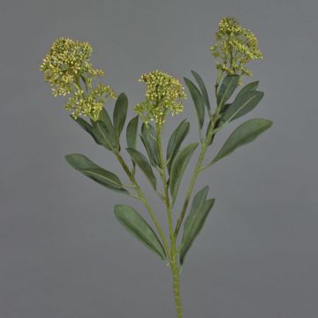 Konstgjord skimmia-gren LAUSANA med blommor, grön, 65cm, Ø7cm Konstgjord skimmia-gren LAUSANA med blommor, grön, 65cm, Ø7cm
