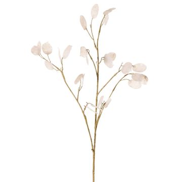 Konstväxt, gren av Lunaria KONIA, krämfärgad, 95cm Konstväxt, gren av Lunaria KONIA, krämfärgad, 95cm